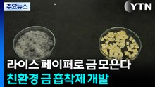 친환경 라이스 페이퍼로 금 모은다 / YTN