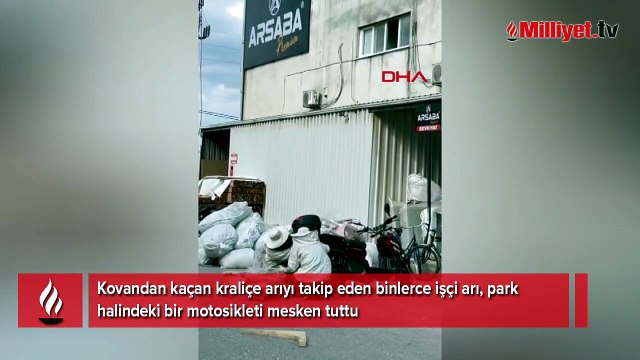 Motosikleti görenler gözlerine inanamadı! Yolun ortasında arıların istilasına uğradı