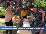 Le CIDO masse les candidats au BAC / comment pr&eacute;server les animaux de la chaleur? / 5 pompiers de la Loire au d&eacute;fil&eacute; du 14 juillet / Deux girafes s'installent au zoo