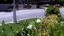 Desperate Housewives S02E22