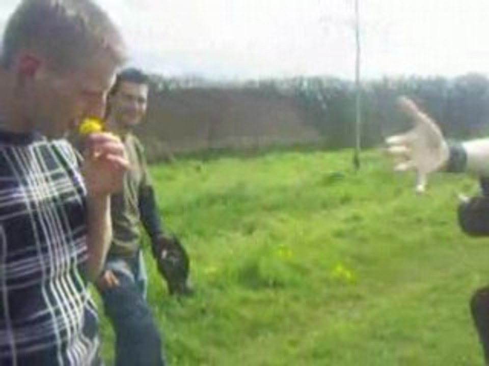 Tete de foin2
