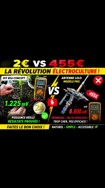 Lolo permafoutu t'es en PLS ? Tu sens passer le courant ?