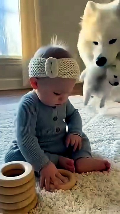 1000023288