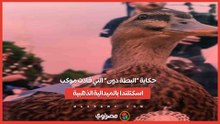 البطة ميرلين.. تميمة المكسيك غير الرسمية التي خطفت الأنظار بمونديال 2026