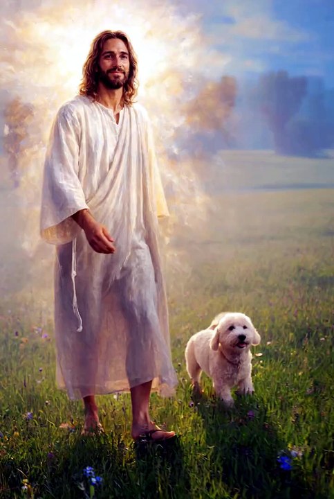 Jesus Christ - My family chooses Jesus Christ a...