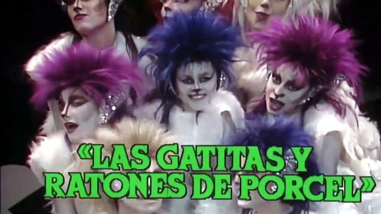 03 GATITAS DE PORCEL - El playero picarón