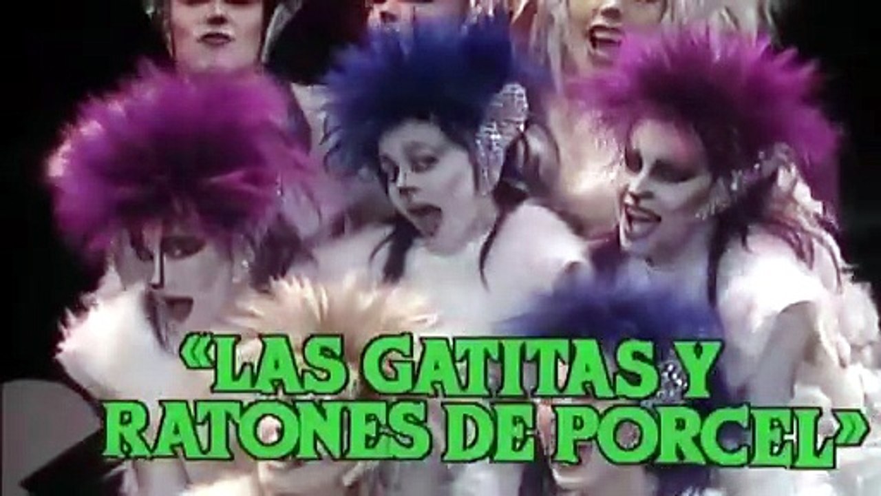 09 GATITAS DE PORCEL - Garrafita con la vedette