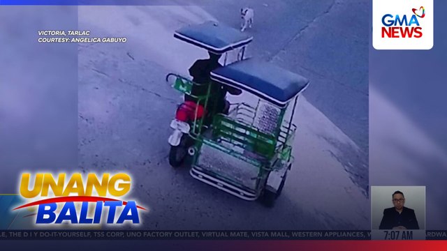6-anyos na babae, natagpuang patay at hinihinalang ginahasa; 15-anyos na lalaking naghahatid-sundo sa kaniya, itinuturing na person of interest | Unang Balita