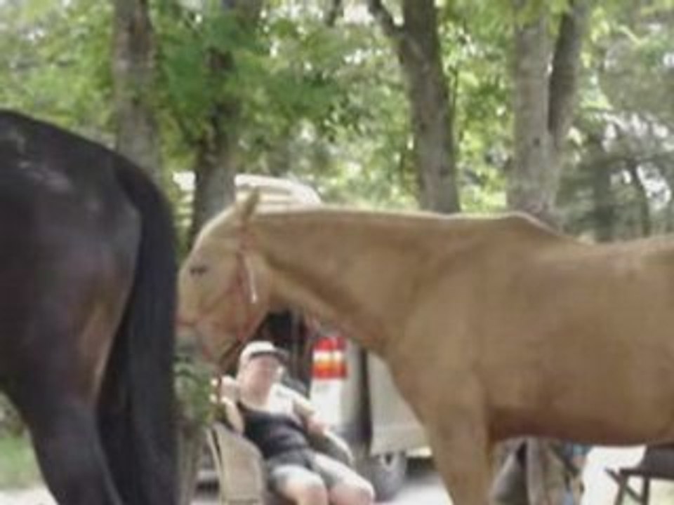 Chico et driade