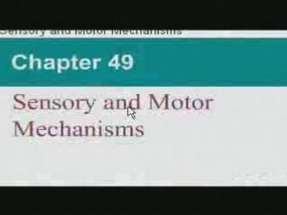 Bogus Online Degrees-- How You can Tell