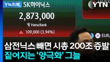 '삼전닉스' 빼면 시총 200조 증발...반도체로 쏠리는 코스피 [굿모닝경제] / YTN
