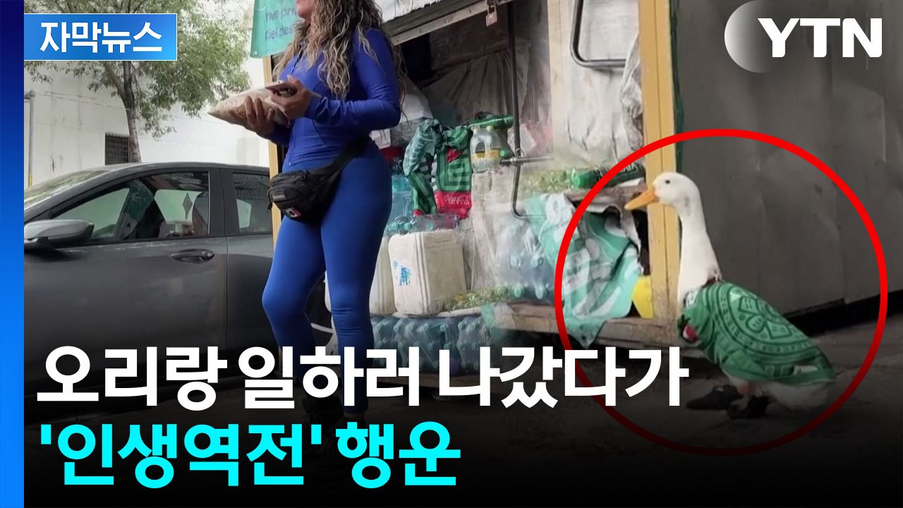 [자막뉴스] "사실상 월드컵 마스코트"...대통령 초청까지 받은 사연 / YTN