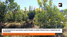 EL INTENDENTE DE SAN PEDRO ALERTÓ SOBRE LA CRISIS PRODUCTIVA Y COMERCIAL DEL MUNICIPIO