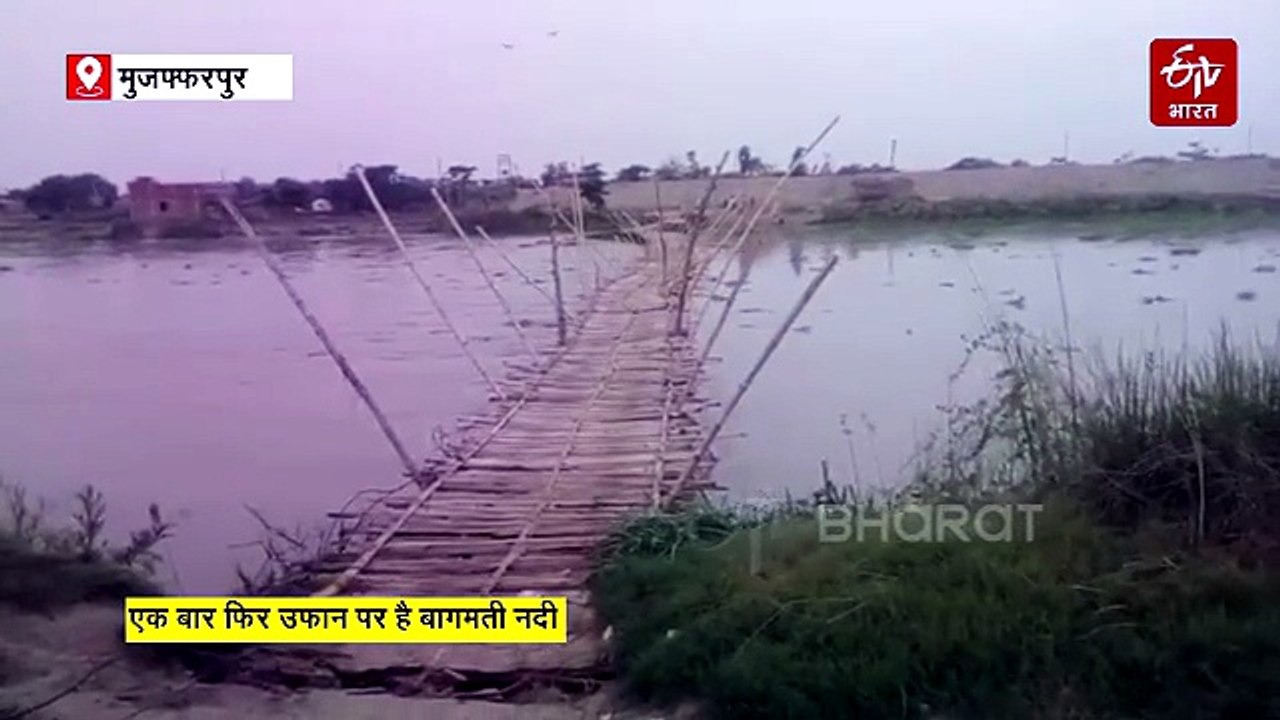 बिहार में उफान पर बागमती नदी, औराई में तेज बहाव में बहा चचरी पुल, 4 हजार ग्रामीणों का संपर्क टूटा.