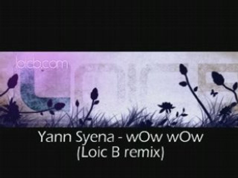 Yann Syena - wow wow (Loic B remix)