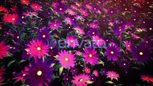 Flower Field Loop