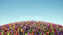 Round Field of Color Flowers Blue Sky Colorful Landscape Nature