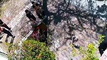 Les pires voisins de l'enfer filmés par une caméra (Worst Neighbors from Hell Caught on Camera)