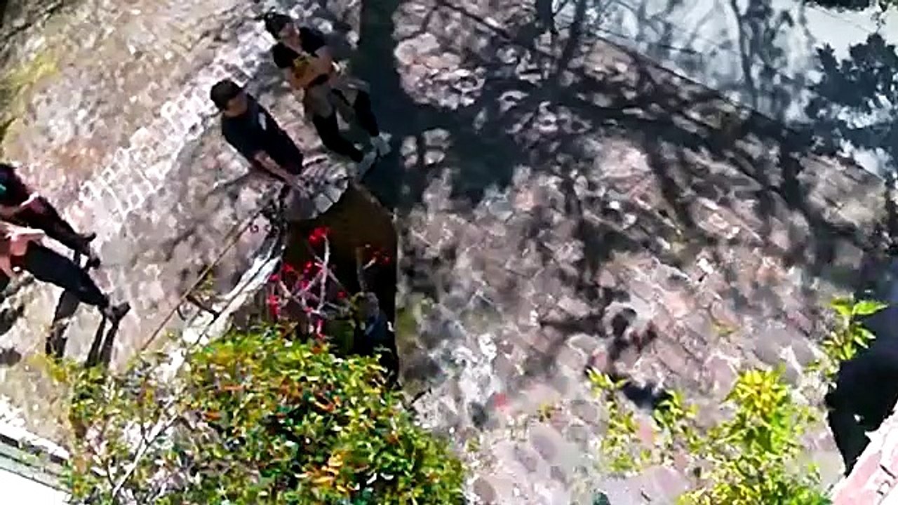 Les pires voisins de l'enfer filmés par une caméra (Worst Neighbors from Hell Caught on Camera)