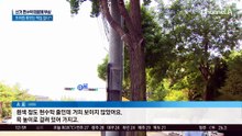 선거 현수막 때문에 부상…도의원 후보는 책임 없다?