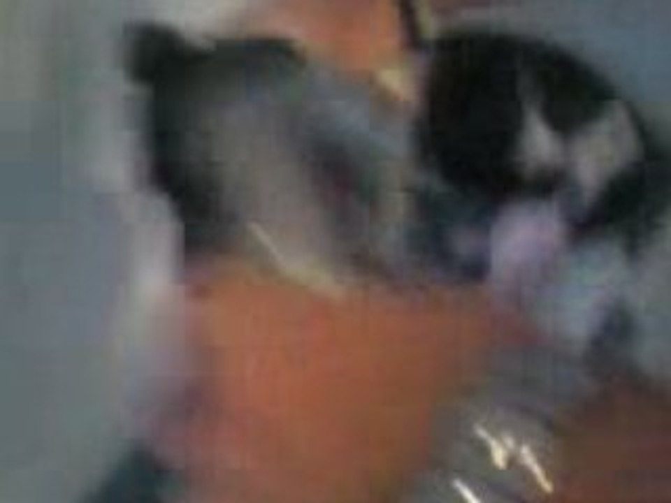 Vidéo0002 dart bain