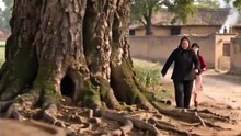 【短剧合集】 重生七零：巧手辣妻要分家