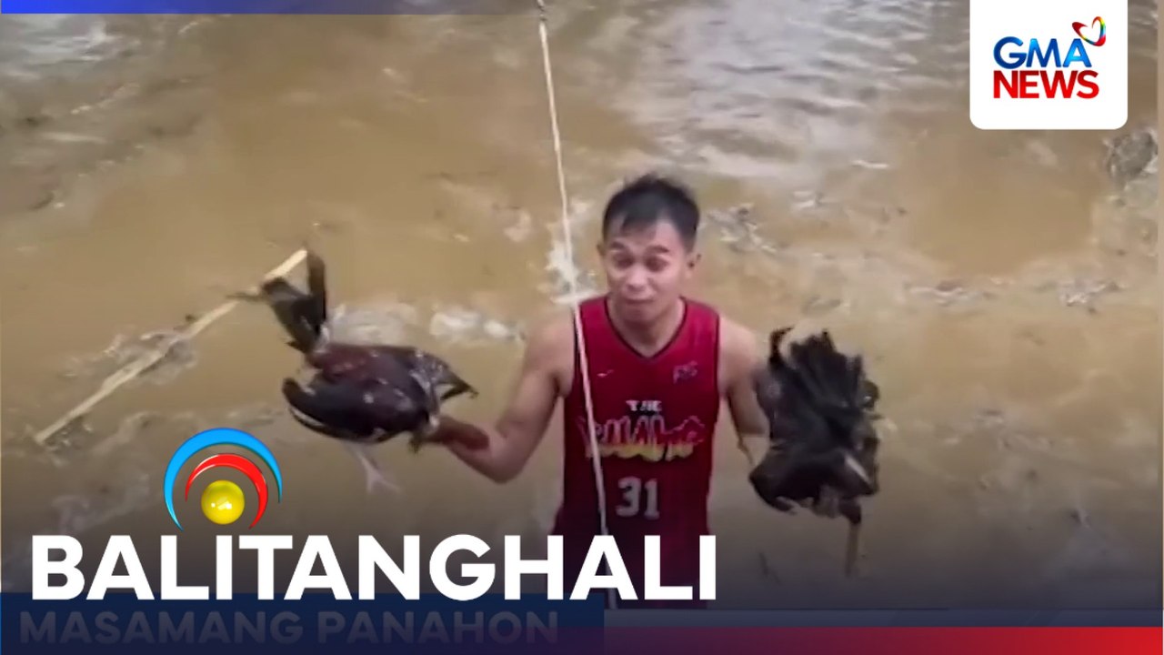 Ilang residente, kaniya-kaniyang pagsagip sa mga alagang hayop na naipit sa baha | Balitanghali