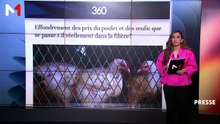 Revue de presse - 22/06/2026