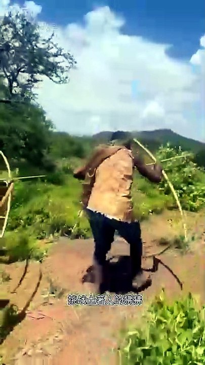 Em busca da comida