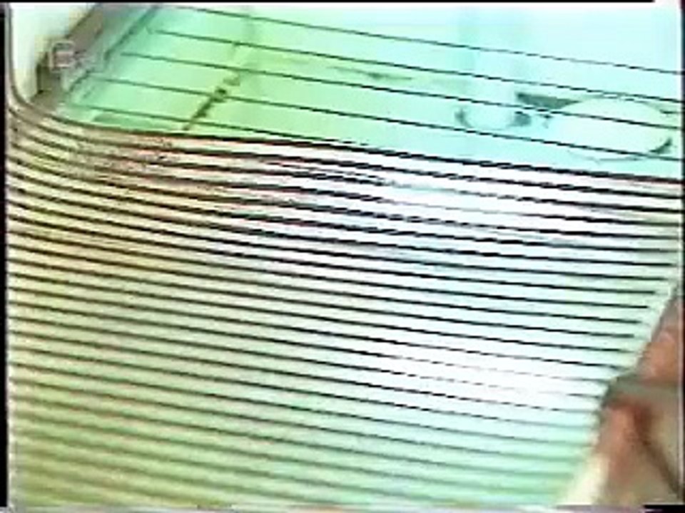 TV-DX RTL local news Bayernjournal 08.10.1994