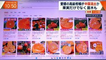 大下容子ワイド!スクランブル   動画　2026年06月23日 バライティー動画