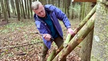 在4棵树之间搭建秘密树屋。在森林里过夜并观看2026年世界杯 🌲⚽️