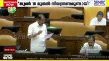 ഇരുട്ടിലായതിന്റെ വിശദീകരണം...; സംസ്ഥാനത്ത് വൈദ്യുതി നിയന്ത്രണമുണ്ടായിരുന്നെന്ന് സമ്മതിച്ച് മന്ത്രി