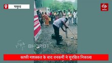 सांप चूहे के खेल में फंसा चश्माधारी नाग, वन विभाग ने बचाई जान