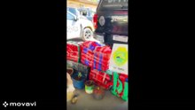 Malinoá Kira da PMPR localiza 178,9 quilos de maconha em Iporã - 22/6/2026