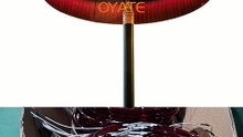 1500w Halogen Round Heating Element Lamp for Outdoor Space Heater