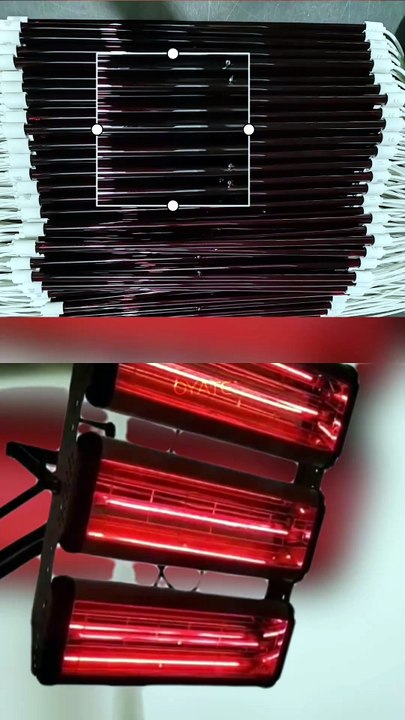 1100w Ruby Quartz Halogen Heating Lamp for Car...
