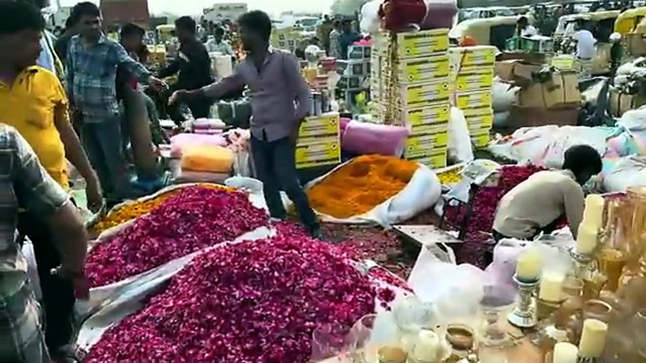 DELHI India