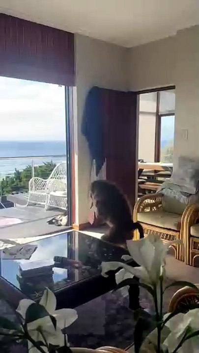 Quand un babouin s’invite chez une femme de ménage pour voler ses fruits à Simon’s Town