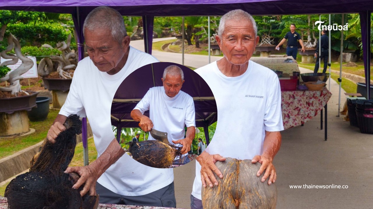 สวนนงนุชผ่า “มะพร้าวทะเล” 1.2 ล้าน เปิดข้างใน ครั้งแรกที่ได้เห็น