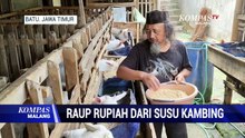 Raup Cuan dari Susu Kambing Segar