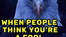 Life Motivational Quotes