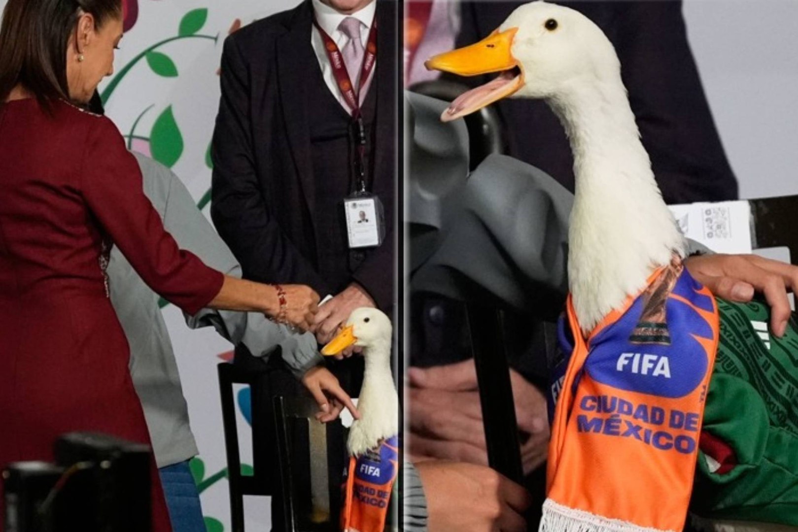 El pato Merlín, la mascota no oficial del Mundial, picotea a la presidenta de México