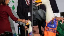 El pato Merlín, la mascota no oficial del Mundial, picotea a la presidenta de México 