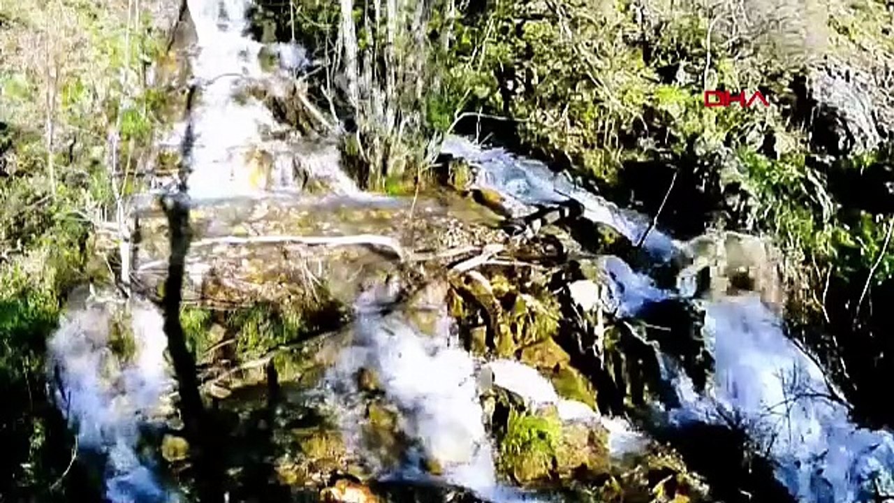 Türkiye'nin eşsiz şelalesindeki yaban hayatı fotokapana yakalandı