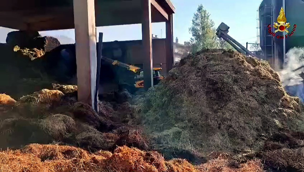 Cavola di Toano: fiamme in un'azienda agricola,...