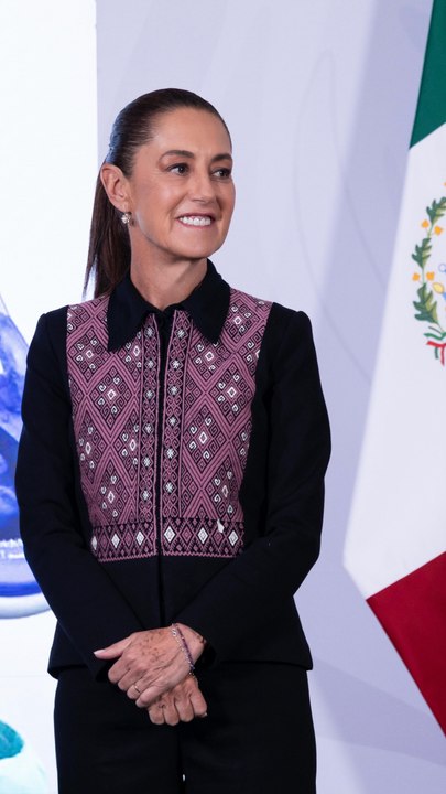 Cuestionan a Sheinbaum por invitar al pato Merlín a la mañanera
