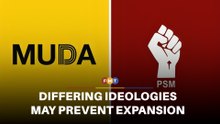 Differing ideologies may prevent expansion of PS-Muda alliance, says analyst