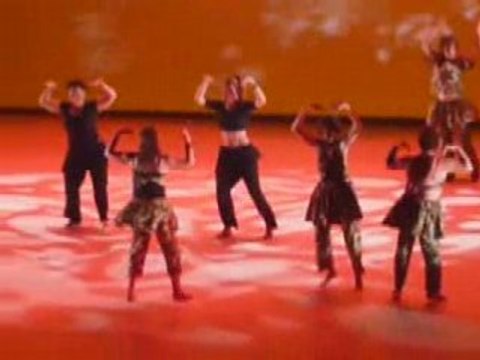 SPECTACLE DANSE AFRICAINE