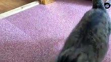 朝の日課